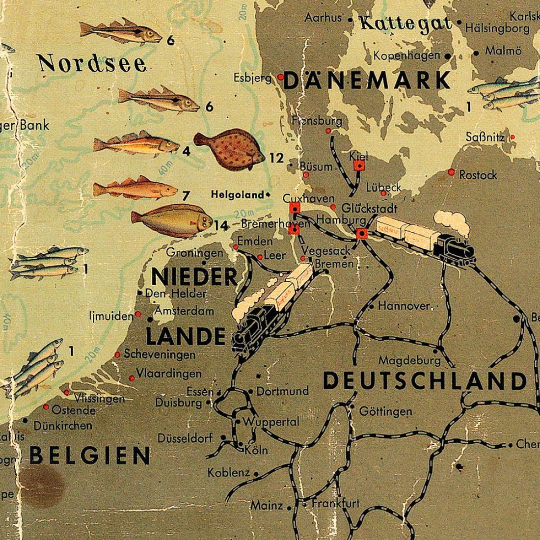 Karte der Fanggebiete der Deutschen Seefischerei, Willi Ohler, Hamburgo, 1935 / Alman Su Ürünleri Avcilu Haritasi, Willi Olher, Hamburgo c.1935. Cortesía de Kerim Bayer Archieve. Cortesía de IKSV