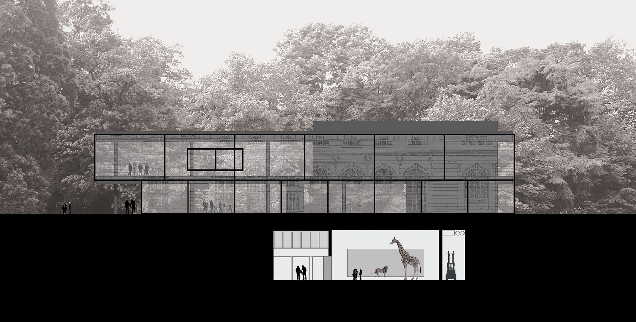 Section. Africa Museum by Stèphane Beel Architects.