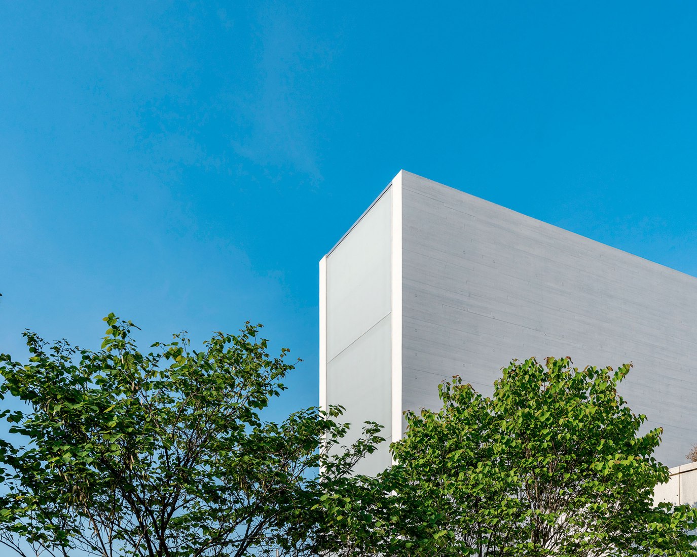 The REACH por Steven Holl Architects (SHA). Fotografía por Jonathan Morefield.