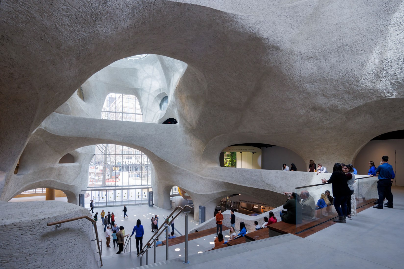 La escalera en el atrio de exploración Kenneth C. Griffin. El Centro Richard Gilder por Studio Gang. Fotografía por Iwan Baan.
