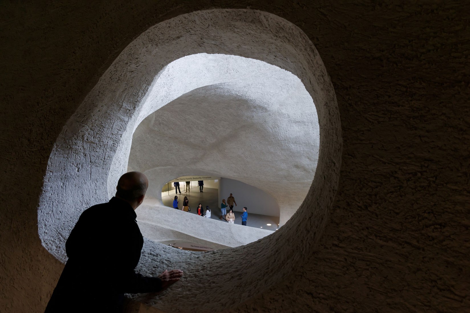 Apertura del tercer piso. El Centro Richard Gilder por Studio Gang. Fotografía por Iwan Baan.