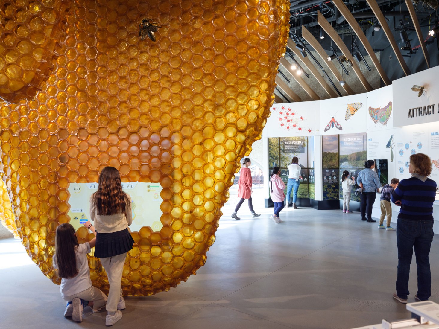 La colmena en el insectario de la familia Susan y Peter J. Solomon. El Centro Richard Gilder por Studio Gang. Fotografía por Alvaro Keding.