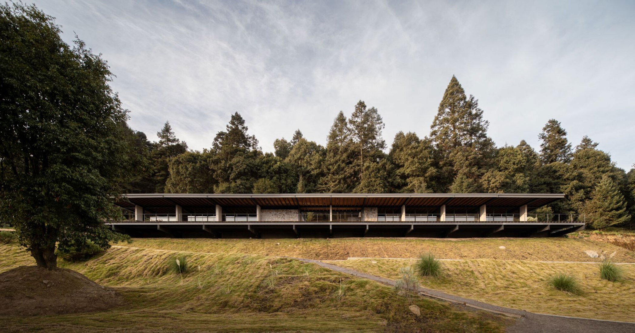 Piedra Grande Equestrian Clubhouse by Studio rc. Photograph by Cesar Belio.