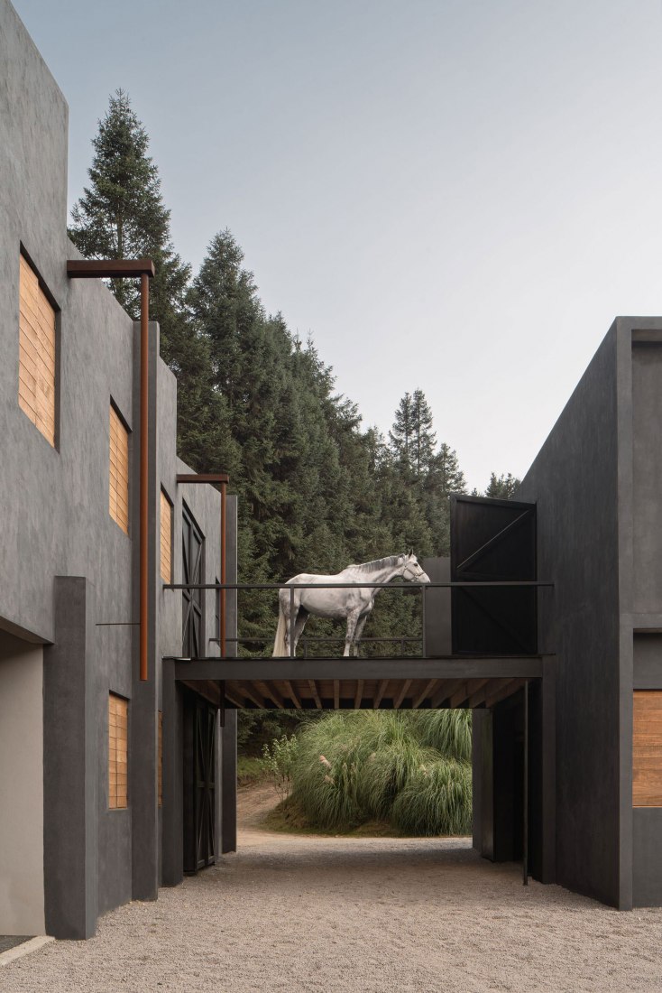 Piedra Grande Equestrian Clubhouse by Studio rc. Photograph by Cesar Belio.