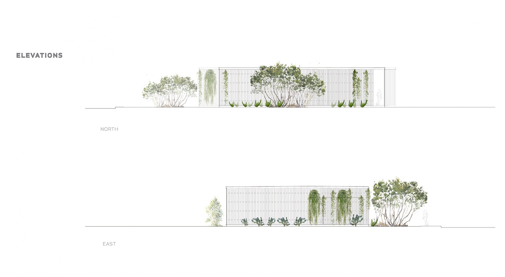 Alzado. Xero Studio por Studio Ma.