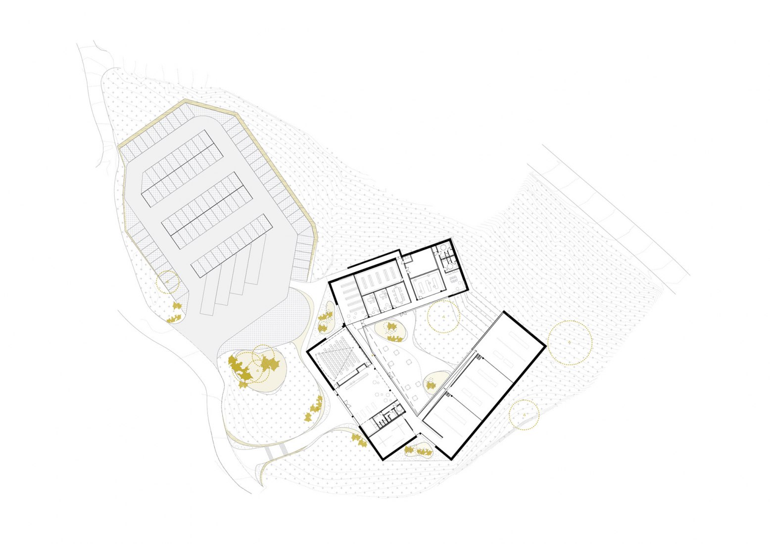 Site plan. Rock Art Center of Cantabria by Sukunfuku studio.
