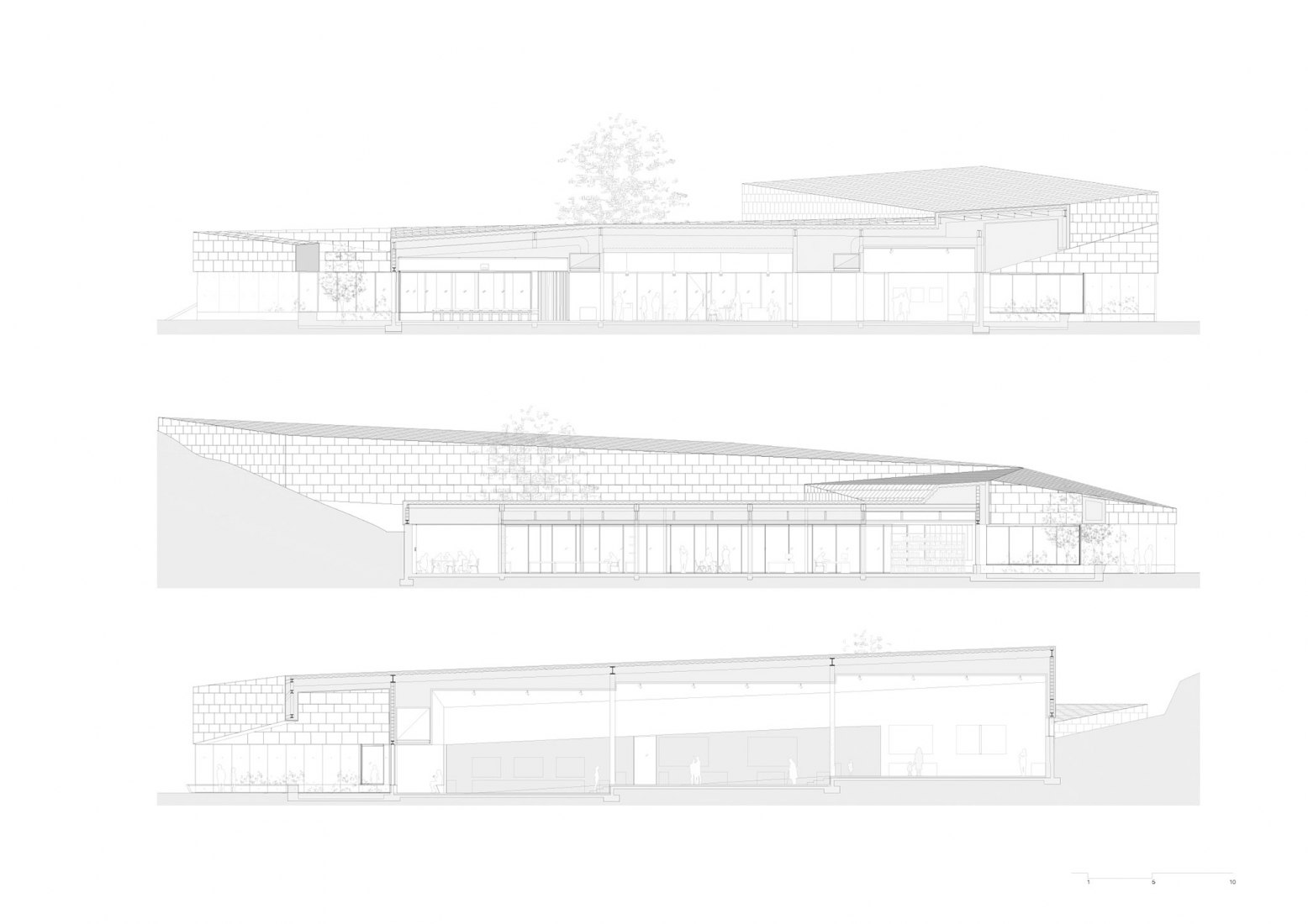Sections. Rock Art Center of Cantabria by Sukunfuku studio.