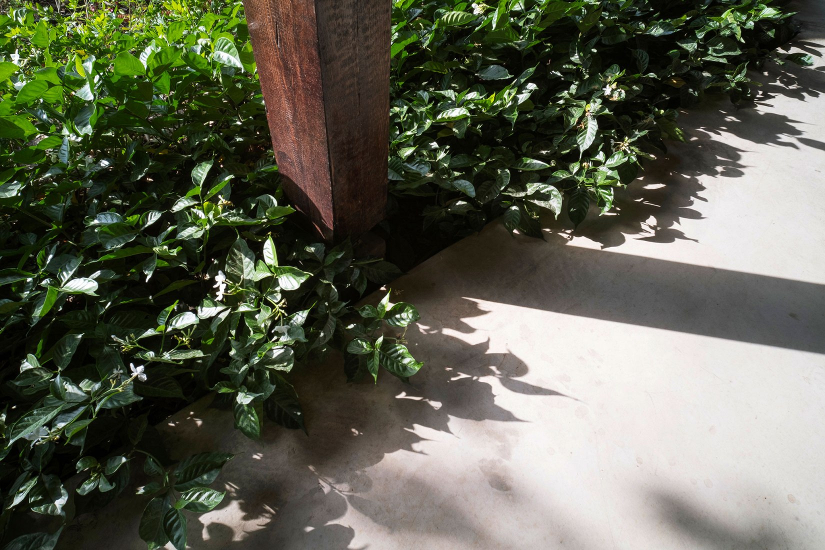 Phu My Garden by TAA Design. Photograph courtesy of TAA Design