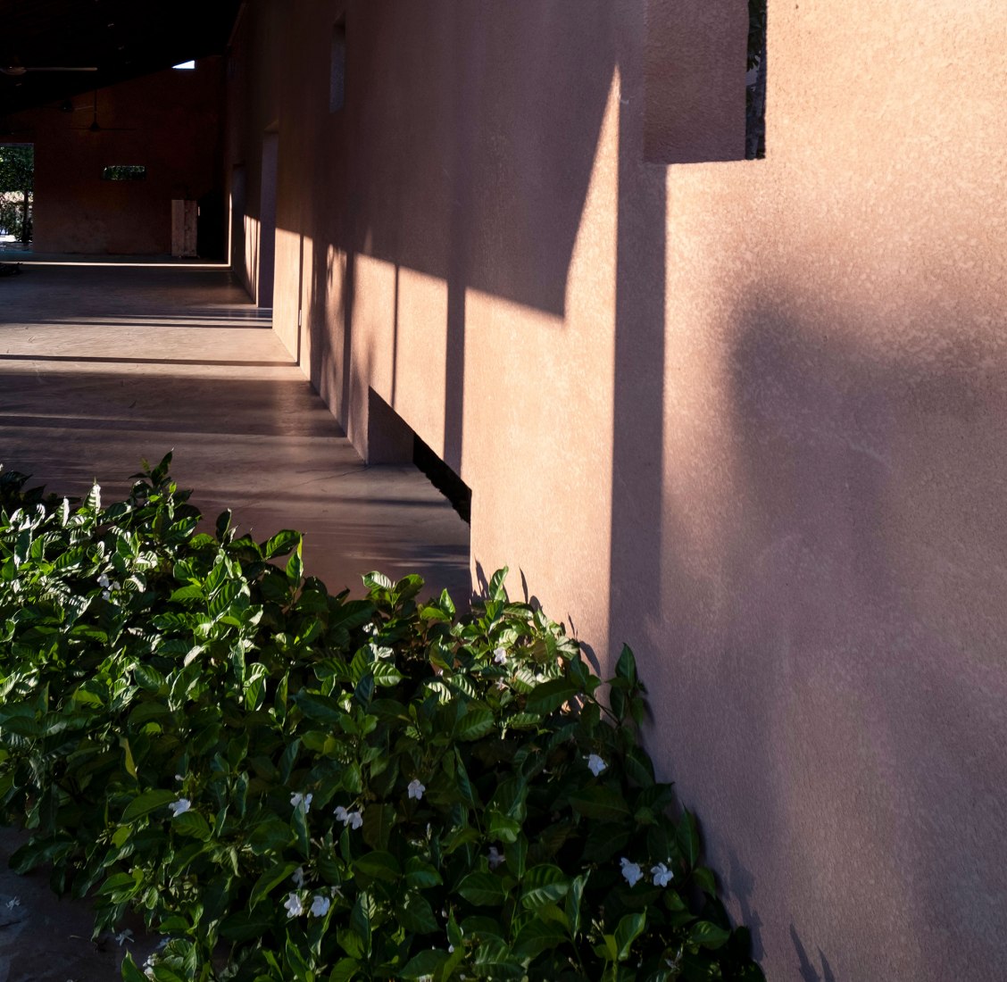 Phu My Garden by TAA Design. Photograph courtesy of TAA Design