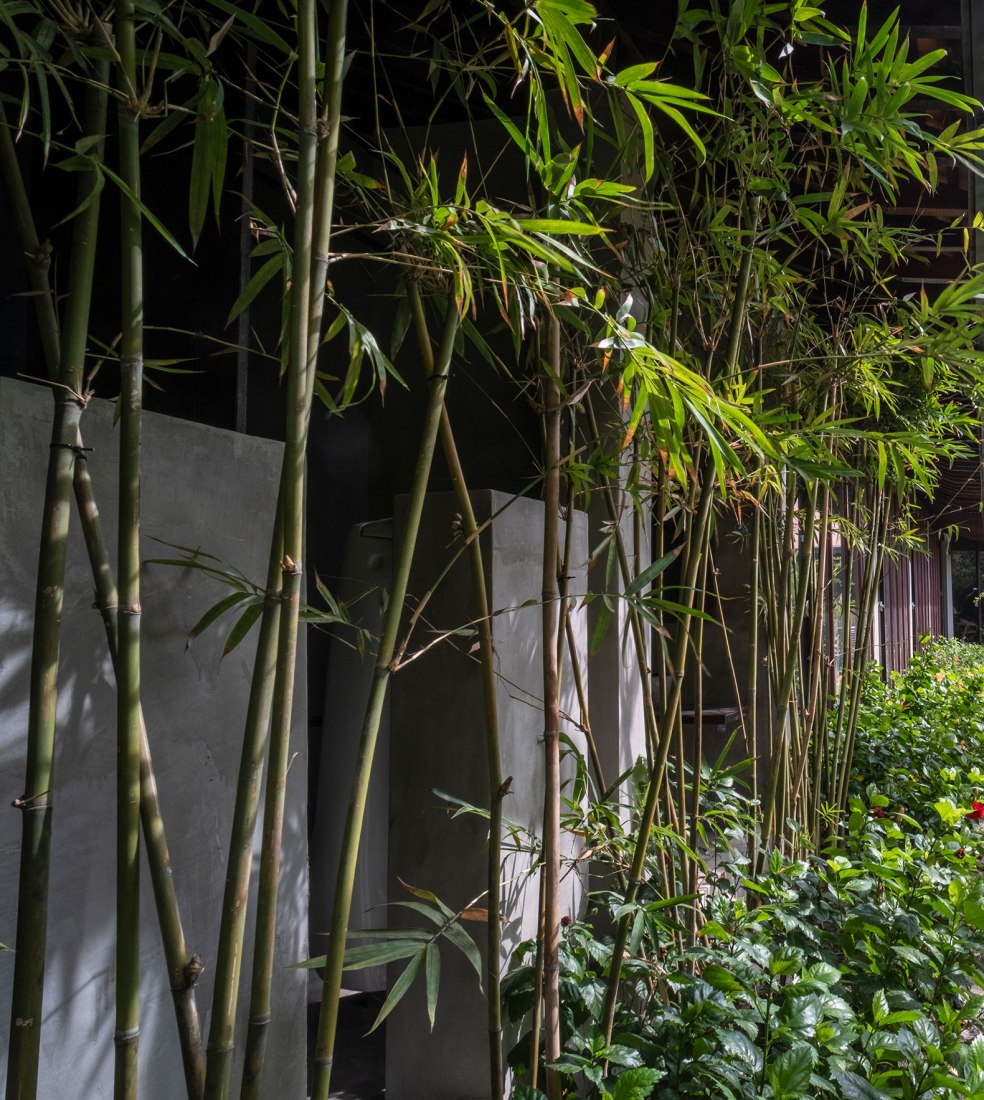 Phu My Garden by TAA Design. Photograph courtesy of TAA Design