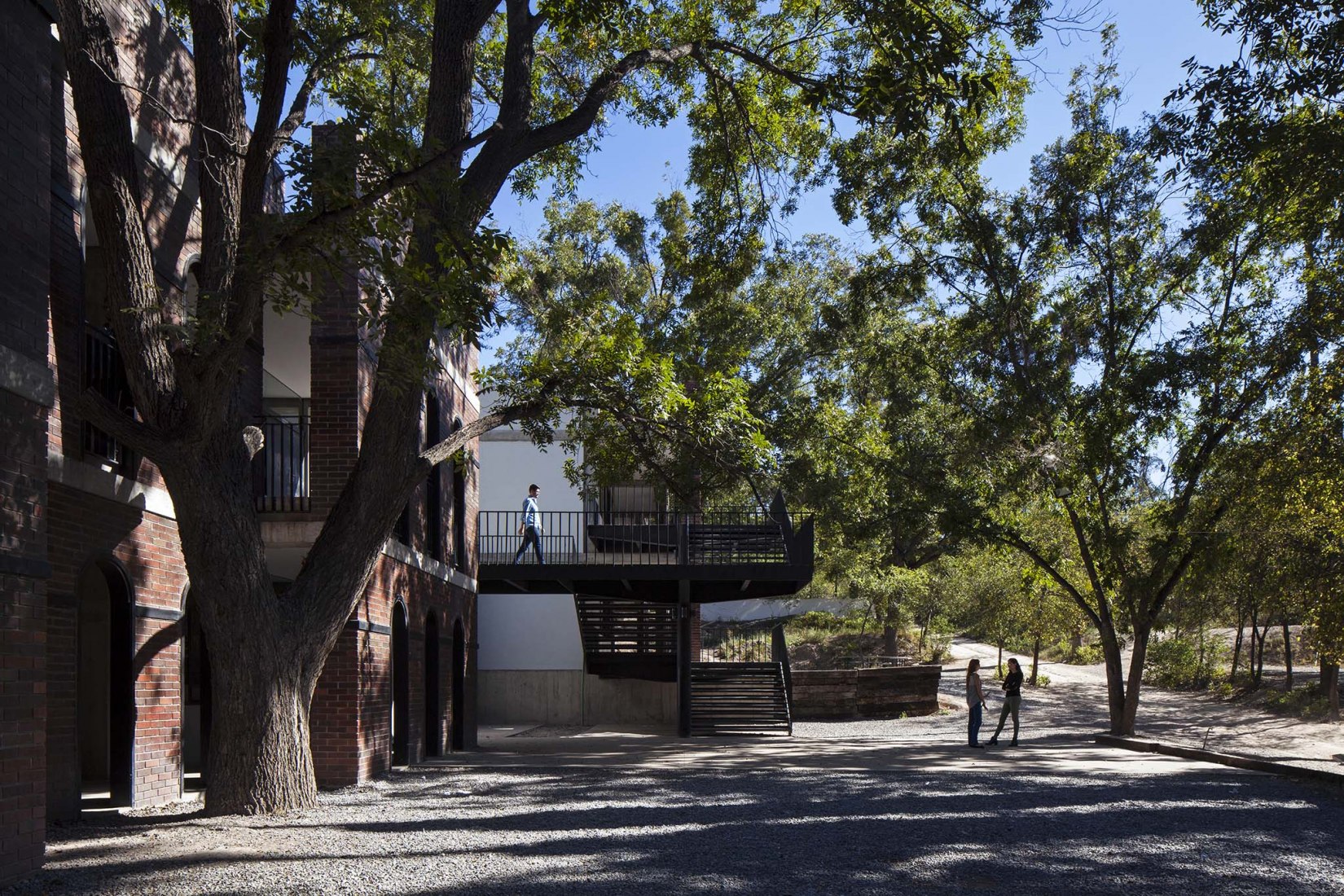 Universidad Carolina – Fase I por Manuel Martínez, Alejandro Madero y Yolanda Ceballos. Fotografía por Adrián Llaguno