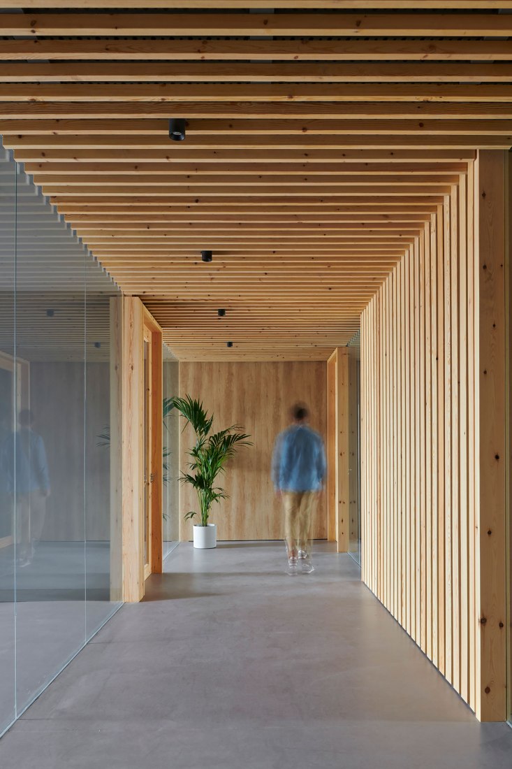 Refurbishment of PETRITO 32 offices by TANGRAM Arquitectura + Diseño. Photograph by Iñaki Bergera