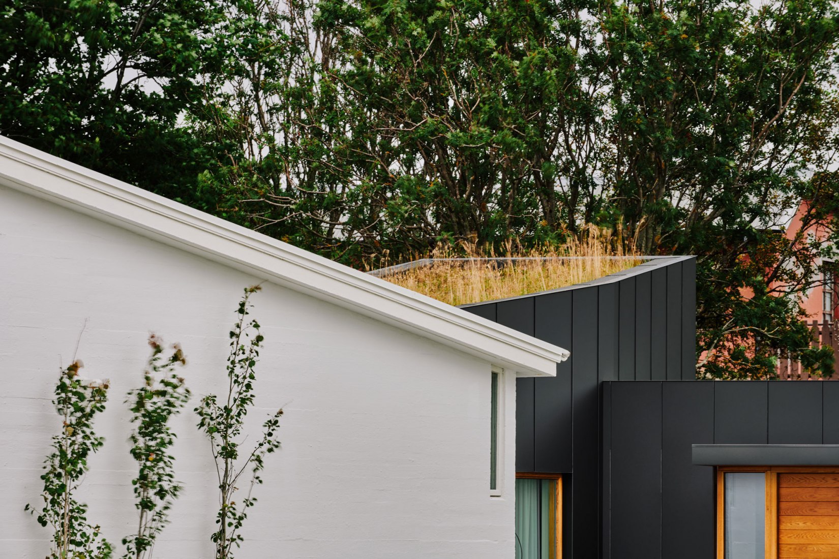 Ægisíða 44 por Trípólí Architects. Fotografía por Studio CAPN.