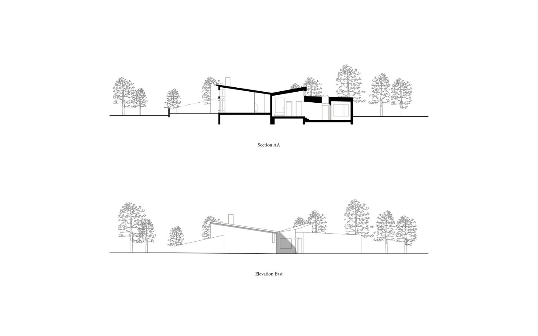 Alzado Este y Sección AA. Ægisíða 44 por Trípólí Architects.