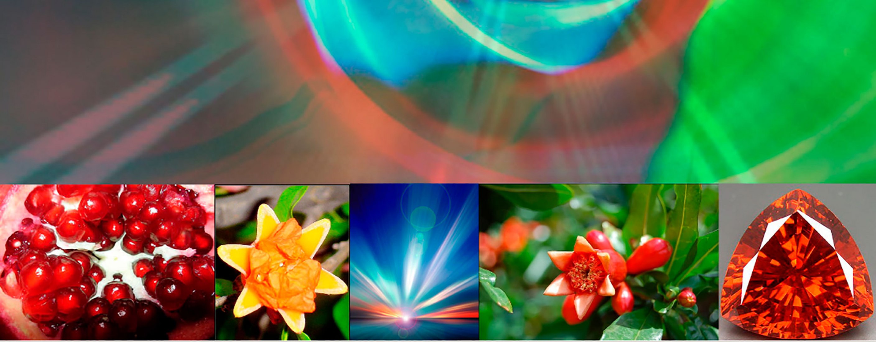 Source of design inspiration — pomegranate flower, image from the internet. Zaozhuang Citizen Service Center by UDG.