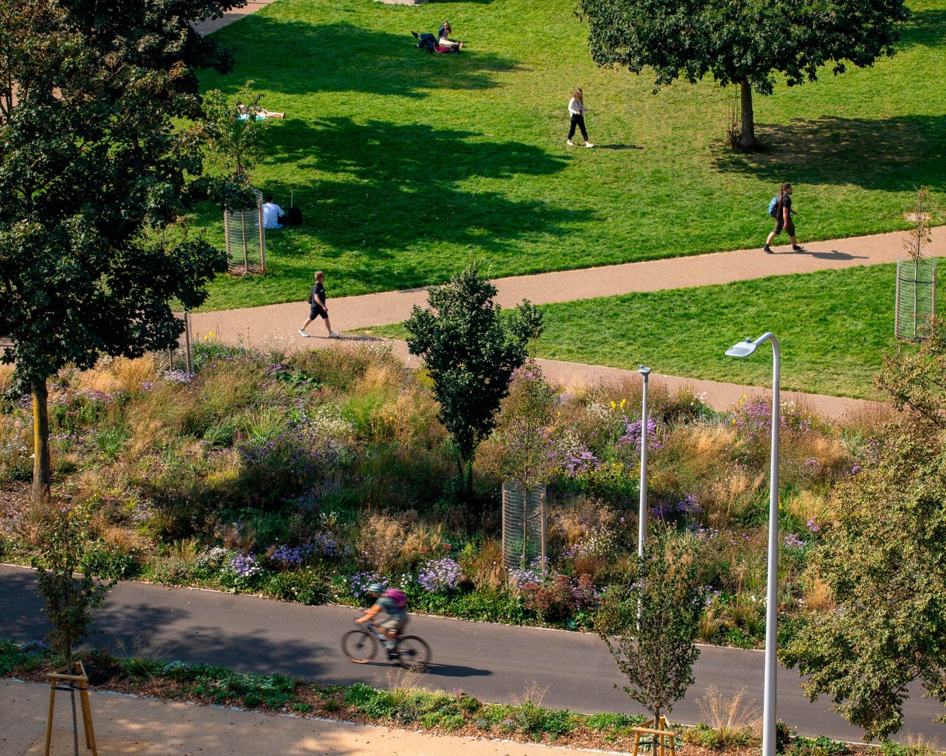 Valley Gardens por Untitled Practice. Fotografía por Brighton & Hove City Council, Edward Bishop