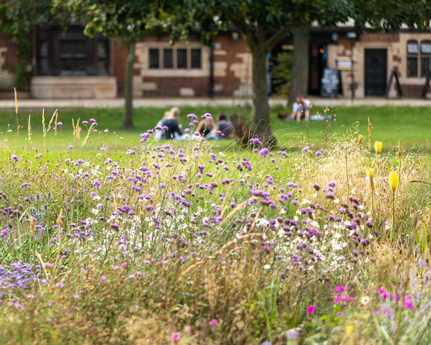 Valley Gardens por Untitled Practice. Fotografía por Brighton & Hove City Council, Edward Bishop