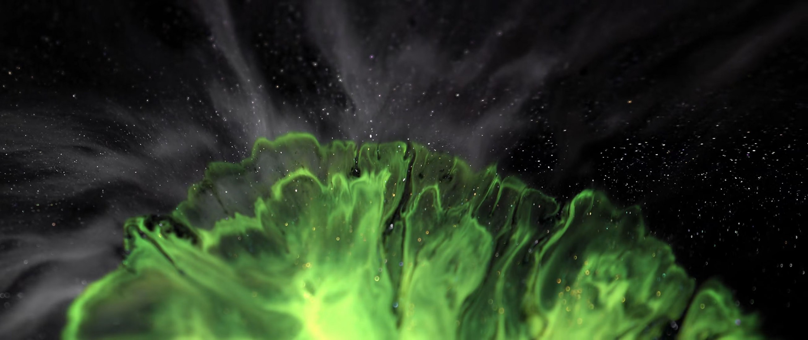 Velocity por Vadim Sherbakov