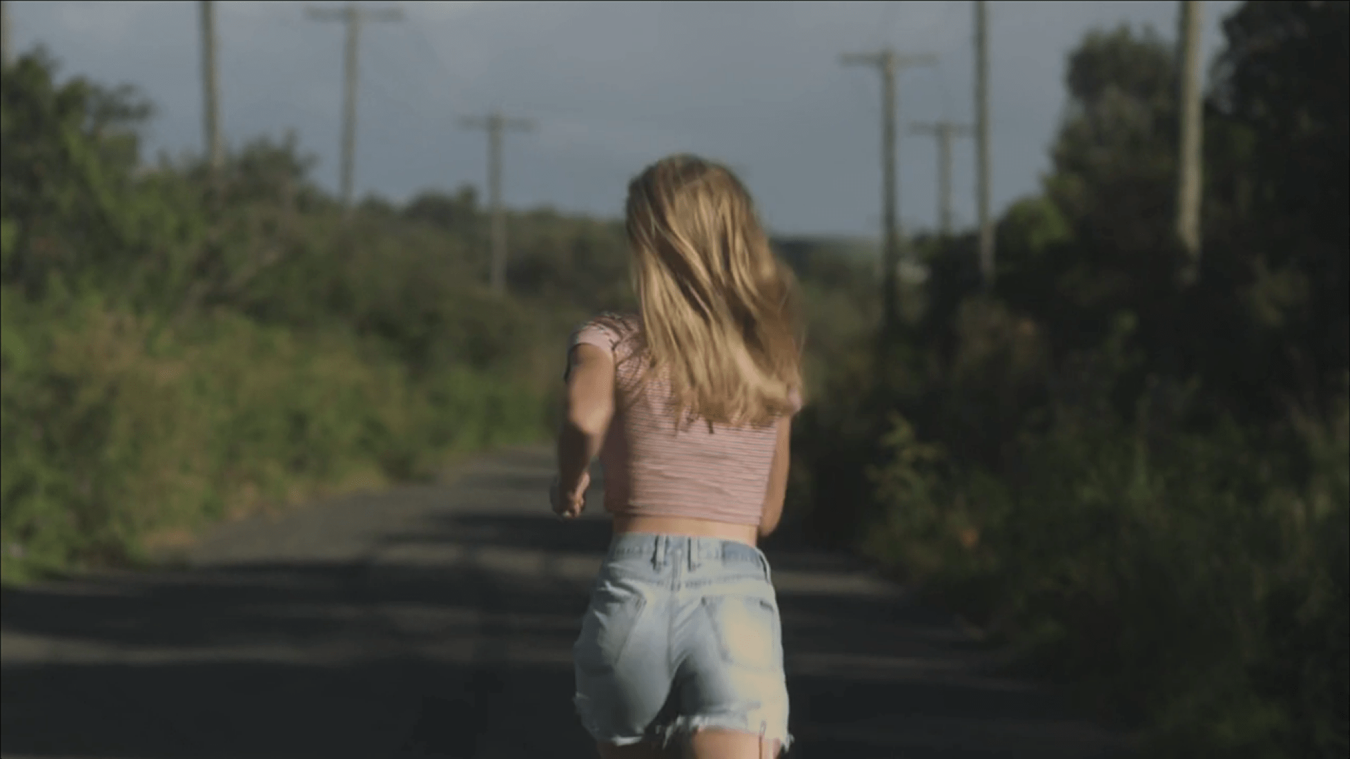 Vance Joy - Riptide.