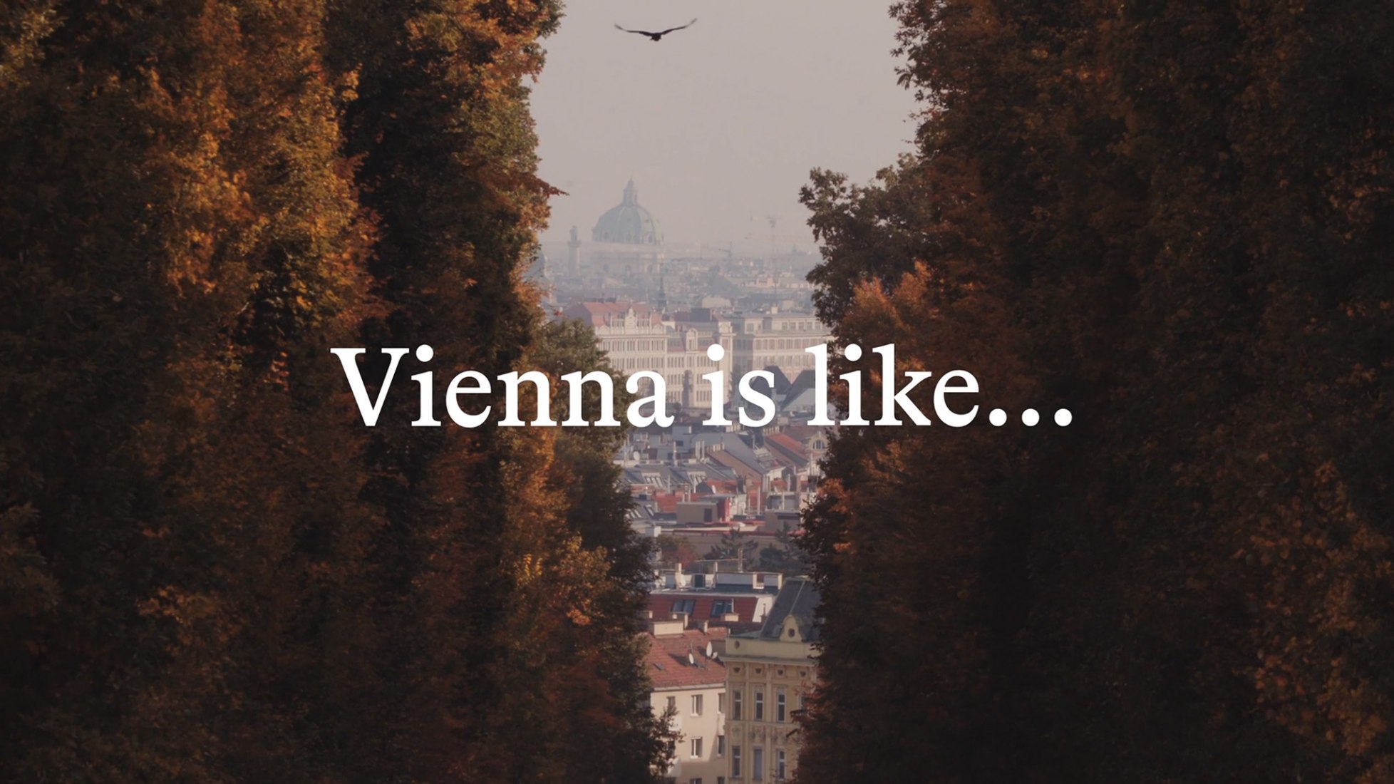 Vienna is like… by Fernando Livschitz