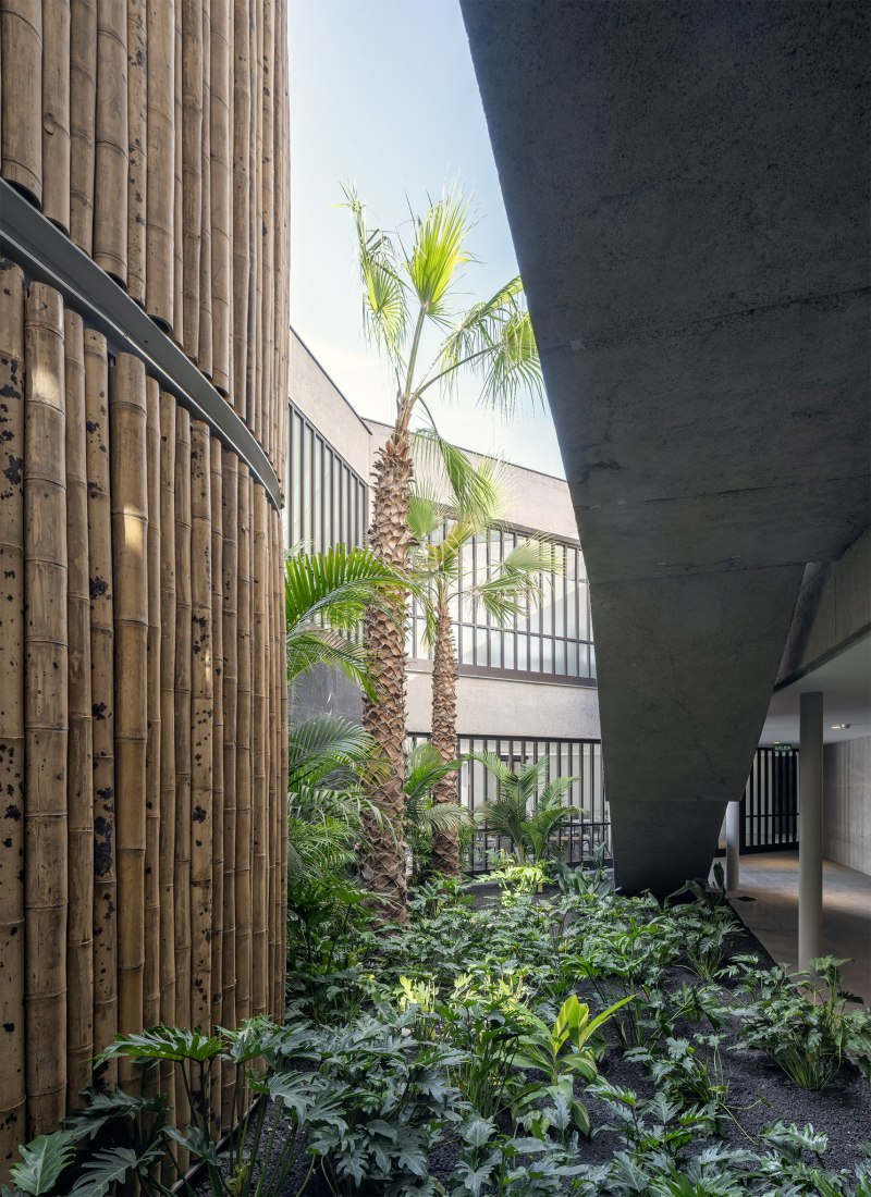 Chimenea y jardín en el Club Social de Abama por Virgilio Gutiérrez Herreros y Eustaquio Martínez García. Fotografía por Duccio Malagamba.