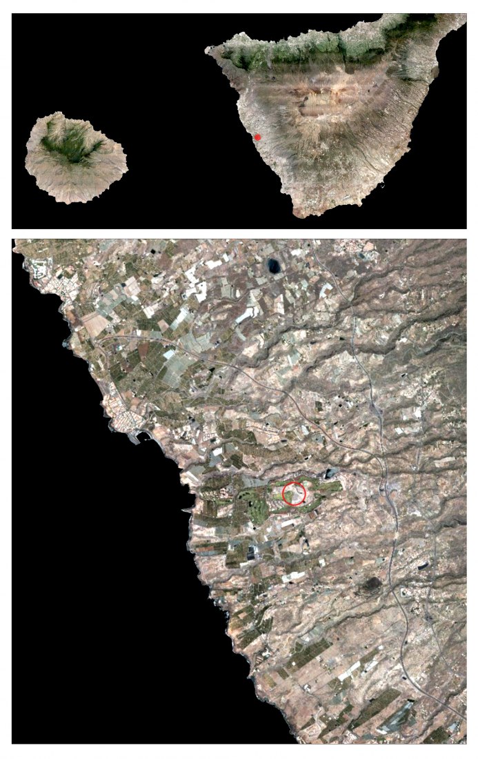 Visualización. Chimenea y jardín en el Club Social de Abama por Virgilio Gutiérrez Herreros y Eustaquio Martínez García.