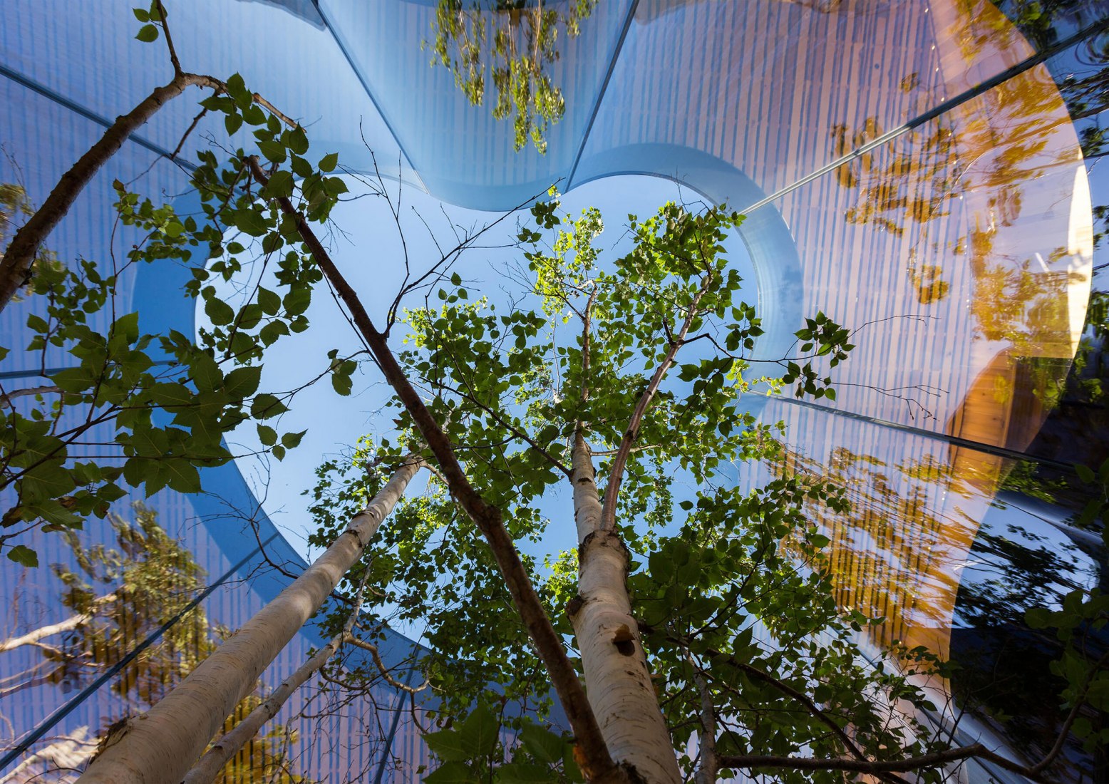 Exterior: Maggie Center por Alex de Rijke. Imagen cortesía de The Architectural Photography Awards 2021