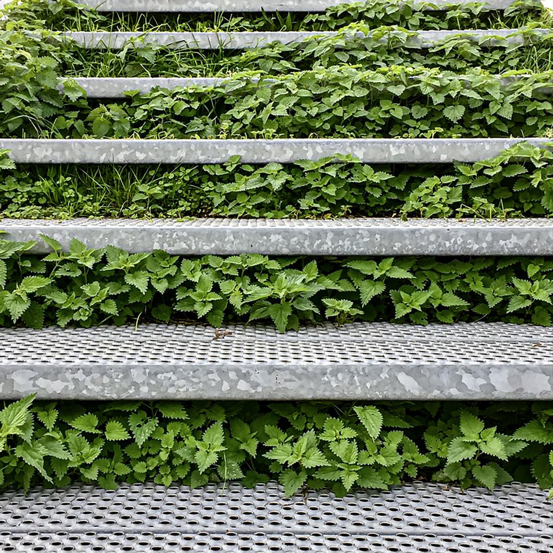 Enverdeciendo la Ciudad Móvil: Green Steps por Linda Wride. Imagen cortesía de The Architectural Photography Awards 2021