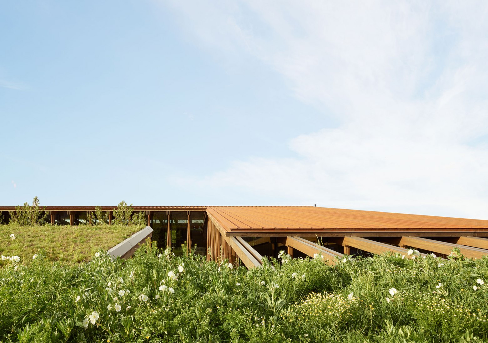 Sede de Washington Fruit & Produce Co. por Graham Baba Architects. Fotografía por Kevin Scott.