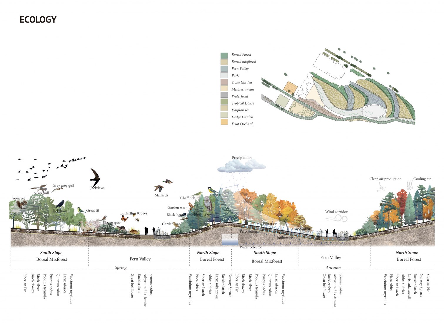 Ecología. Nuevo parque de la ciudad de San Petersburgo por West 8 + Studio 44