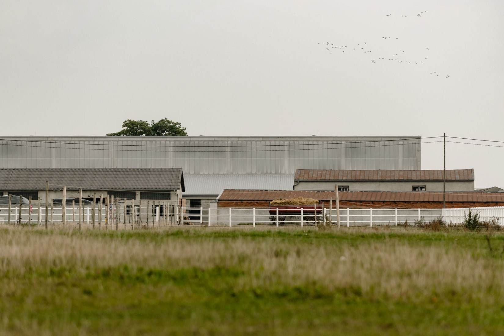 Horse House Stable by Wiercinski Studio. Photograph by ONI studio.