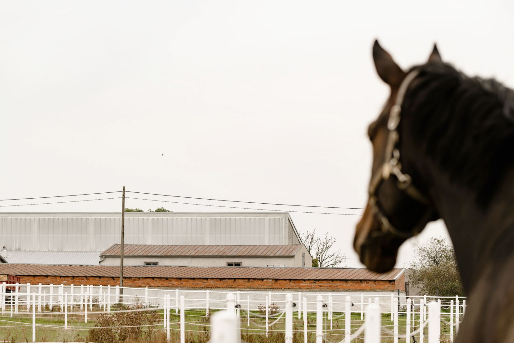 Horse House Stable by Wiercinski Studio. Photograph by ONI studio.