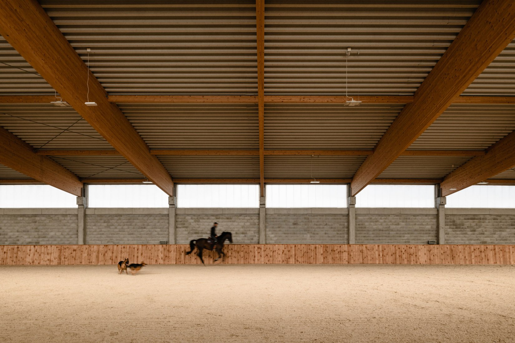 Horse House Stable by Wiercinski Studio. Photograph by ONI studio.