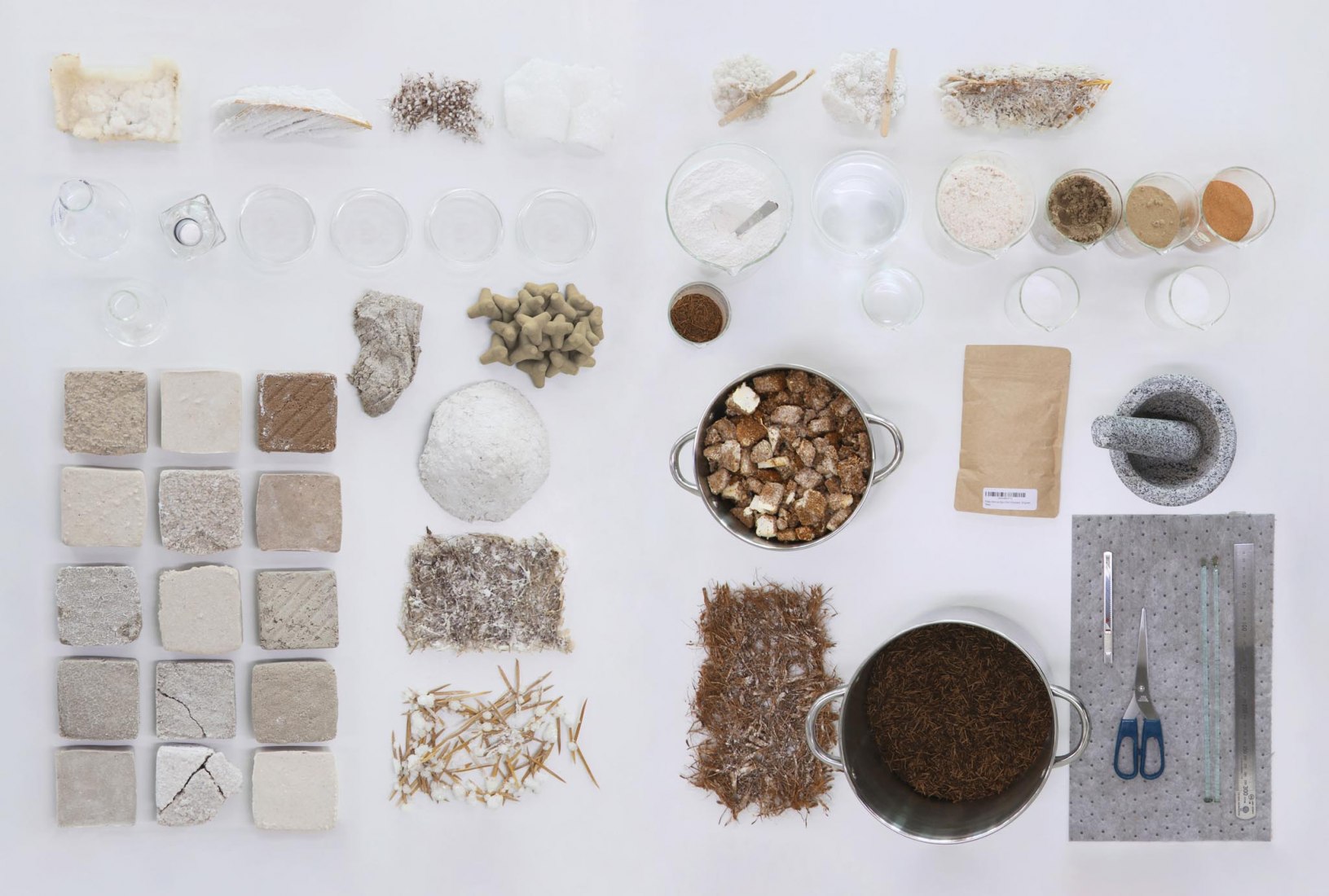Wetland Lab by waiwai research and design agency. Image courtesy of waiwai