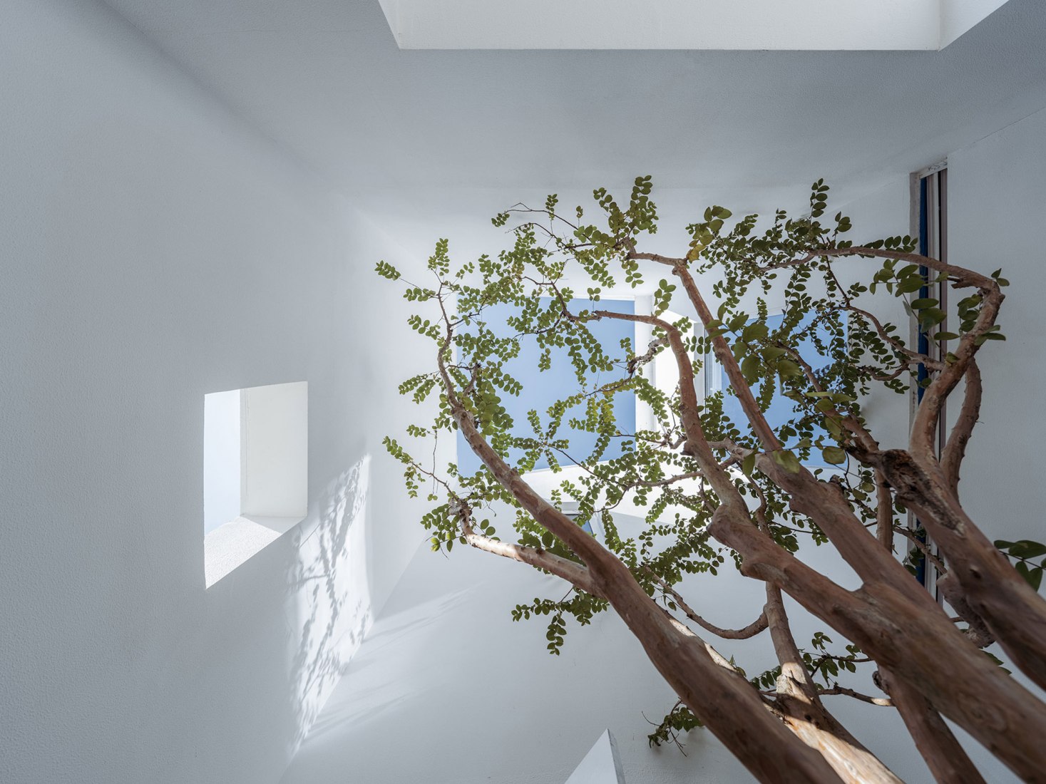 The White Suzhou Section Homestay por Wutopia Lab. Fotografía por CreatAR Images