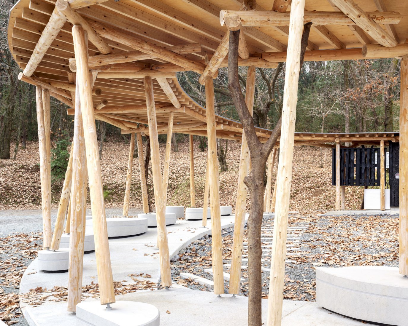 Public toilet in Matsuda Forest Park Recreation Area by Yamashita Sekkei. Photograph by yashiro photo office.
