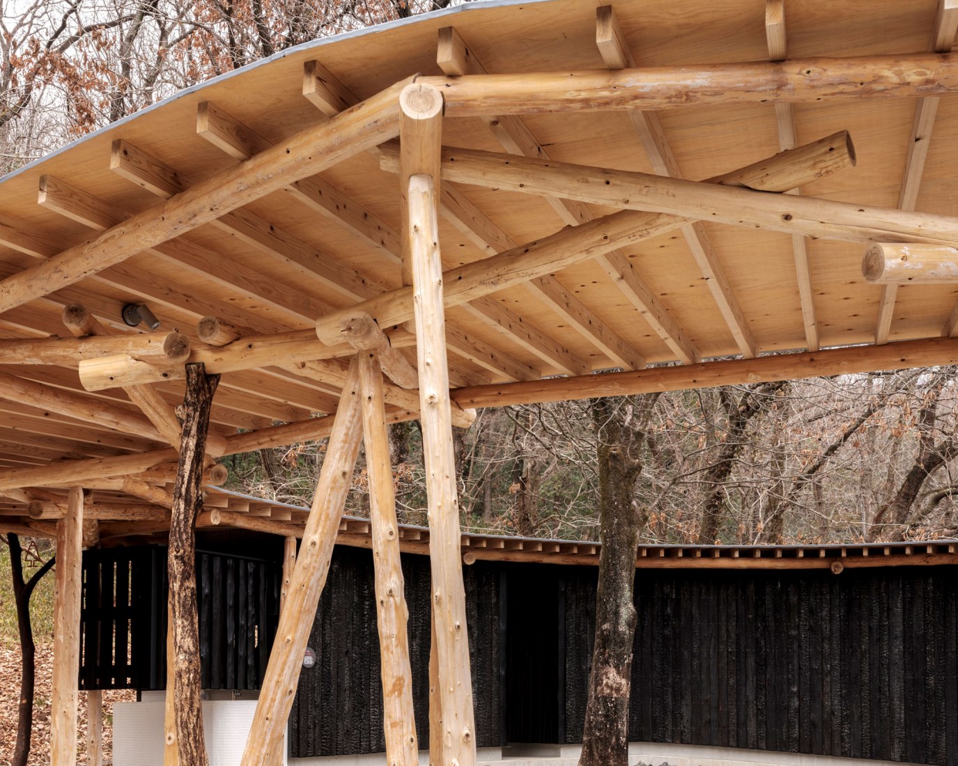 Public toilet in Matsuda Forest Park Recreation Area by Yamashita Sekkei. Photograph by yashiro photo office.