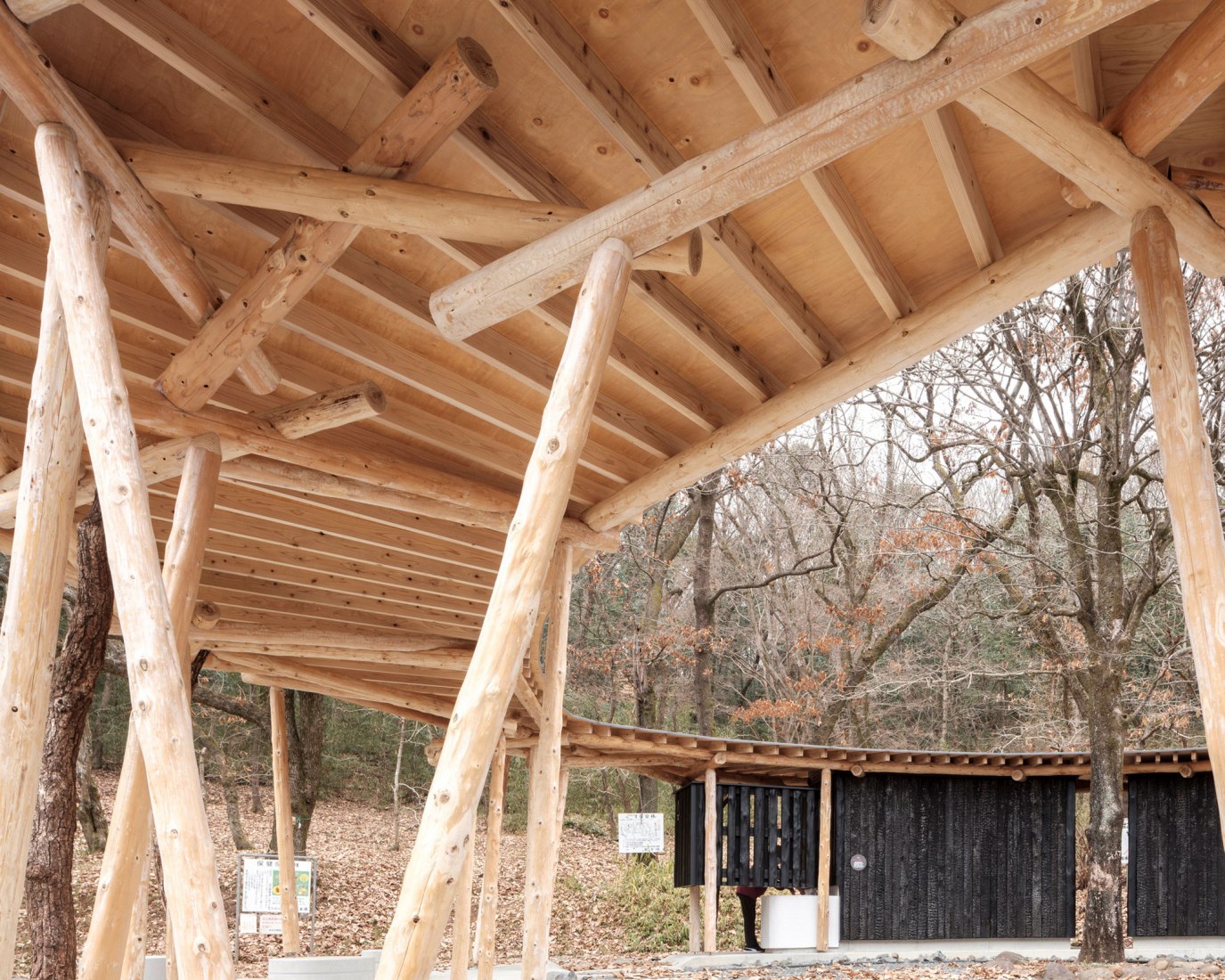 Public toilet in Matsuda Forest Park Recreation Area by Yamashita Sekkei. Photograph by yashiro photo office.