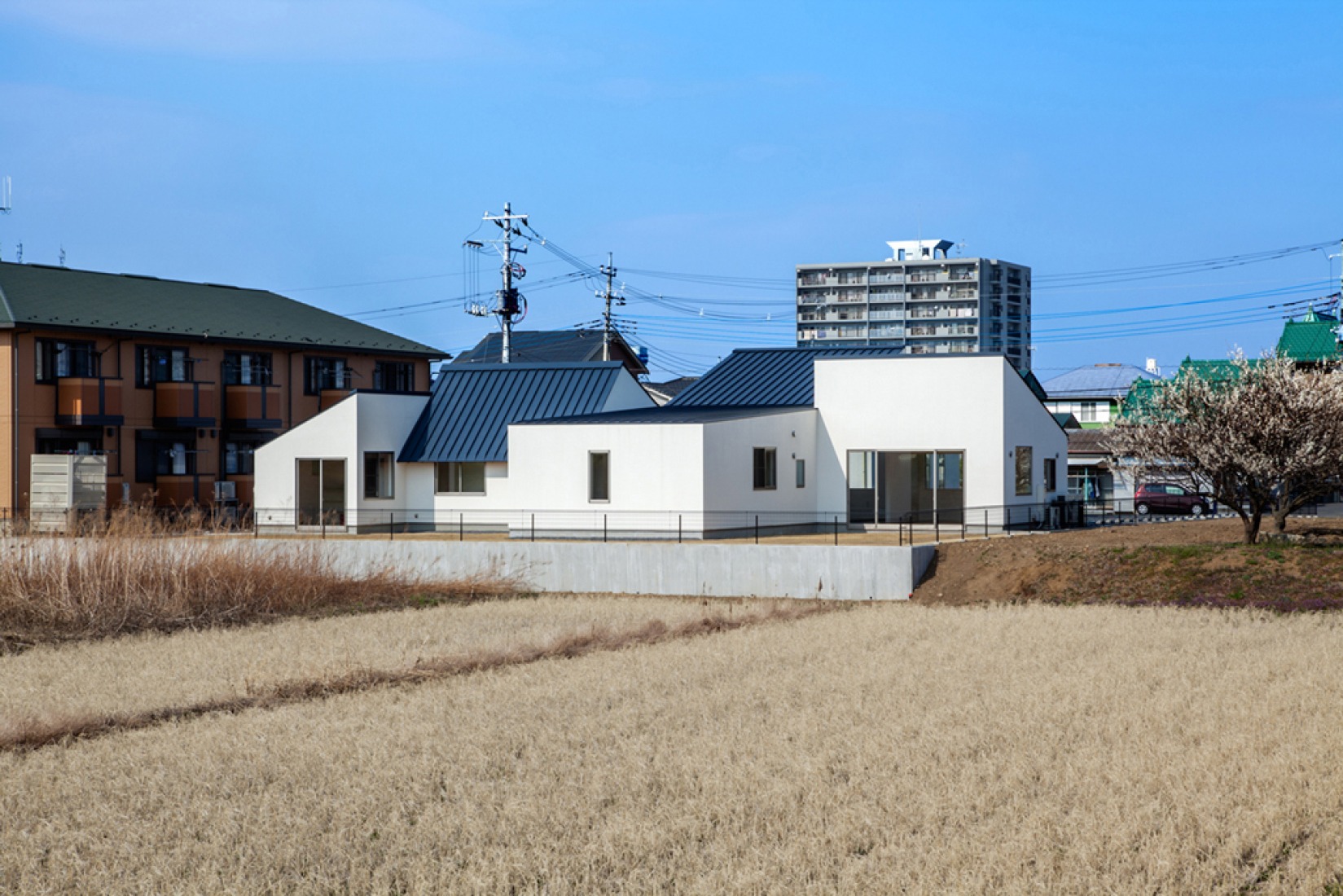 Y-clinic by Kimitaka Aoki + ARCO architects. Photography © Ippei Shinzawa.