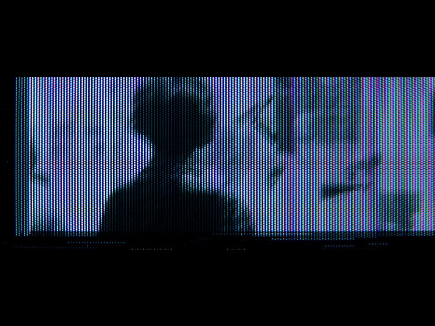 Video screenshot. Do Computers Dream of Electronic Sheep? by Benjamin Bardou.