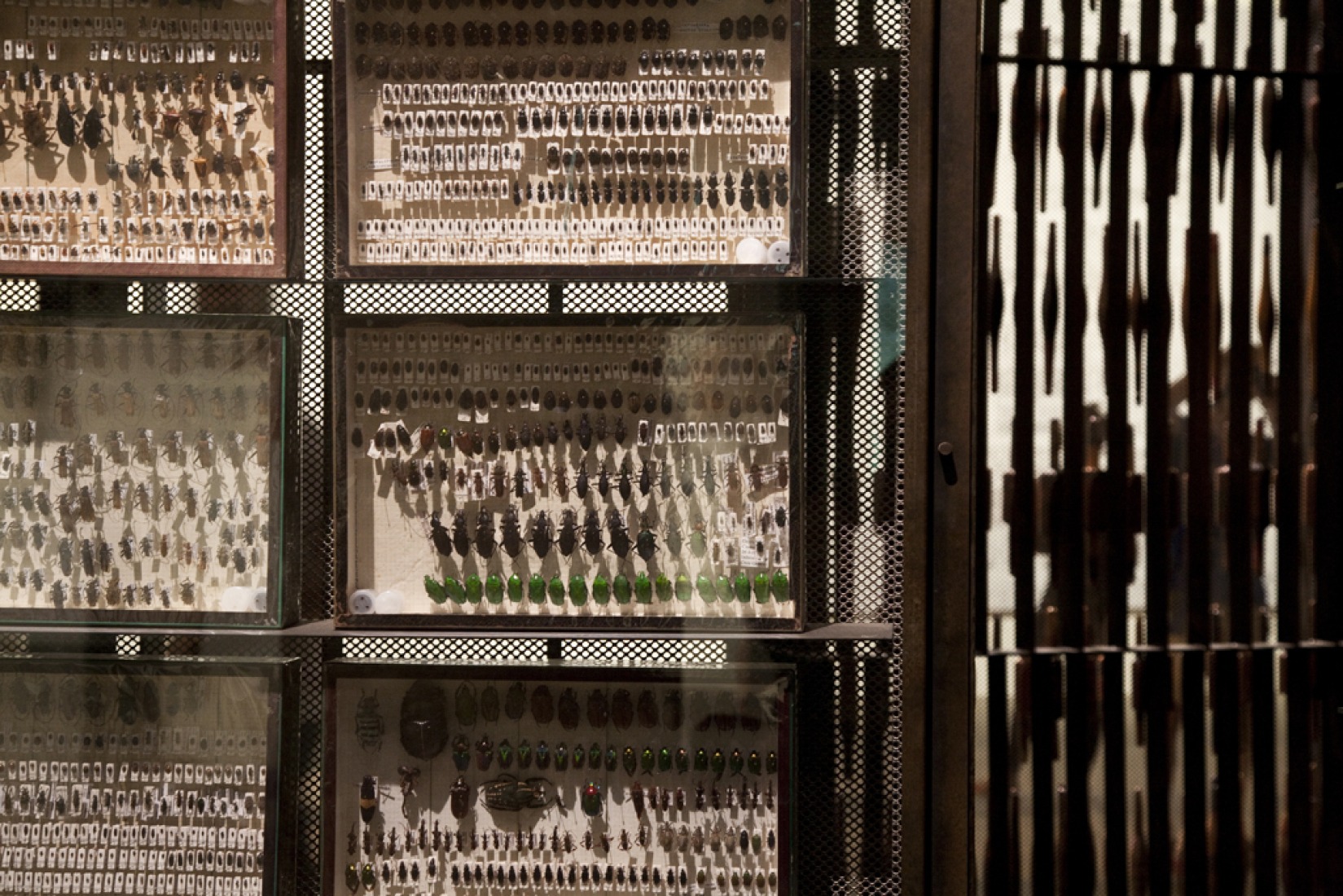 "Copycat" by Cino Zucchi. Contribution to the 13th Venice Biennale. Photography © Francesco Galli.