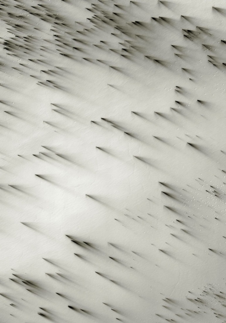 ma.r.s 06 III 2012 C-print 255 x 185 cm. Thomas Ruff. Courtesy of Galería Helga de Alvear.