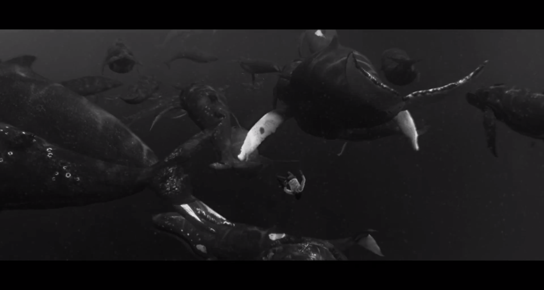 Woodkid - I Love You.