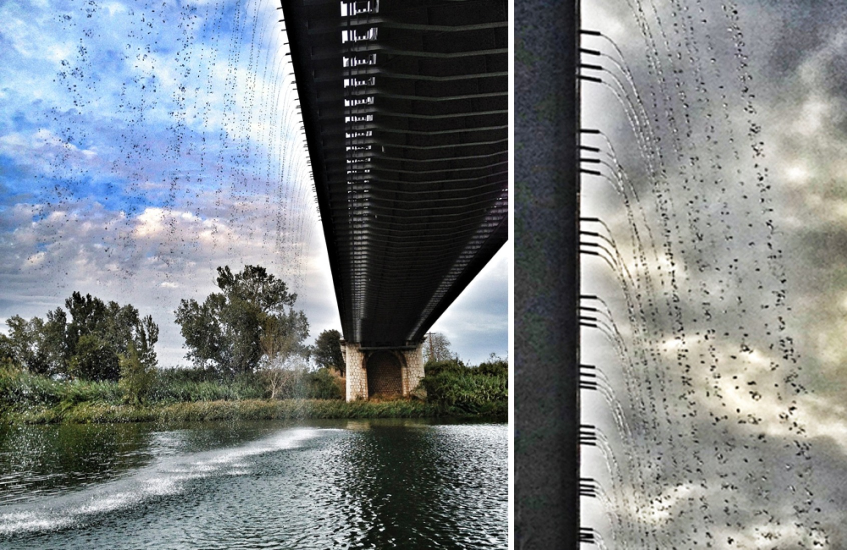 Intervención en el puente colgante de Amposta por el estudio de Ana Morcillo y Jonathan Rule. Fotografía cortesía de los autores.