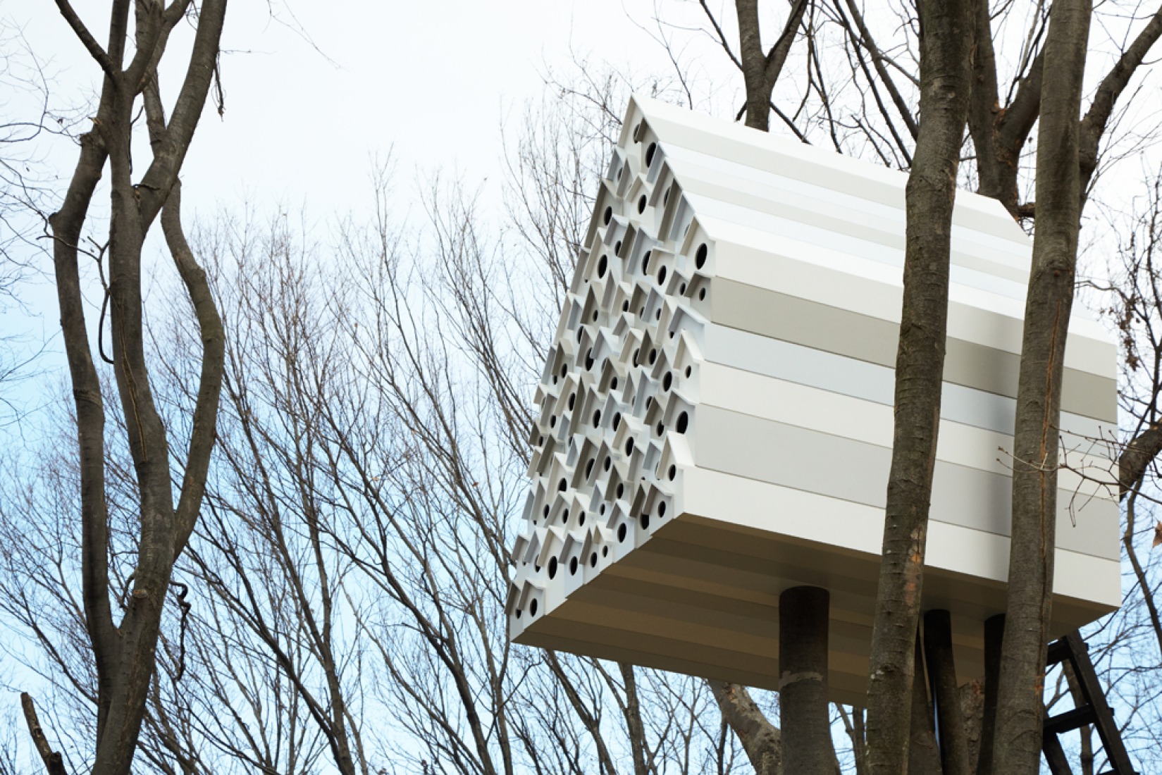 BIRD-APARTMENT.TREE HOUSE, by Nendo | METALOCUS