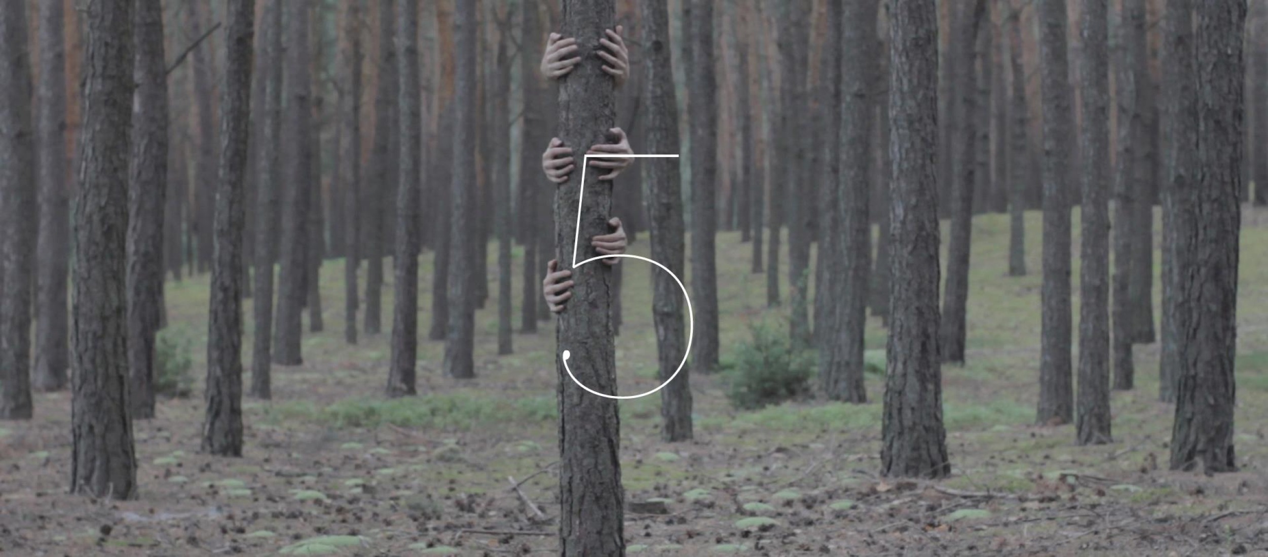 Half Moon Run - Call Me in the Afternoon. Video by  Czlowiek Kamera.
