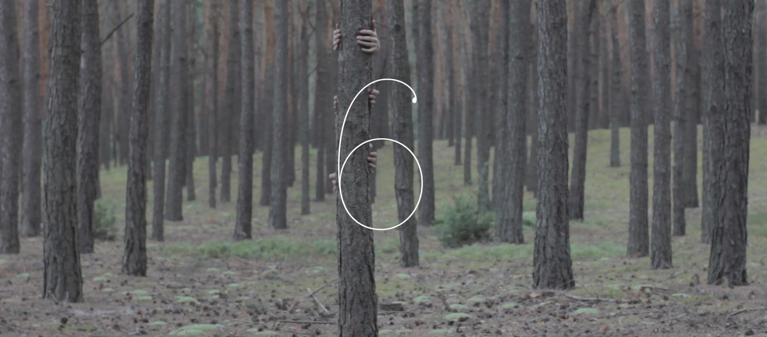 Half Moon Run - Call Me in the Afternoon. Video by  Czlowiek Kamera.