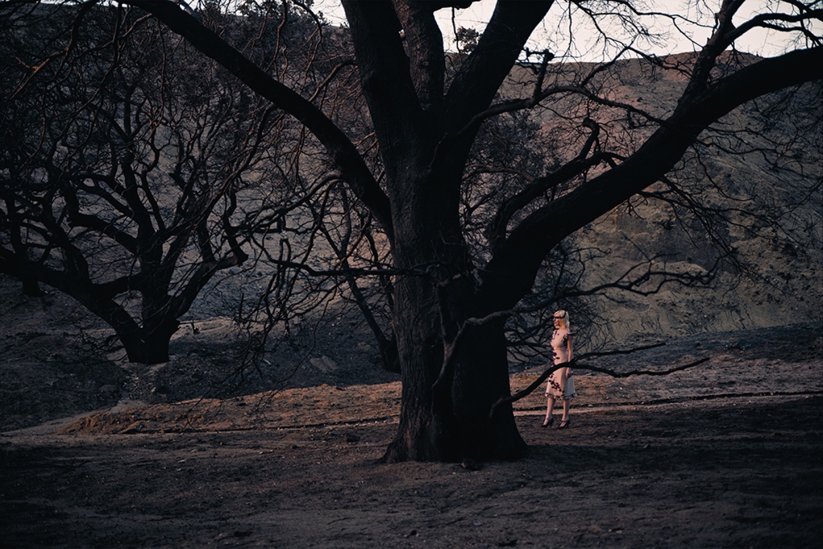 Philip-Lorca diCorcia | METALOCUS