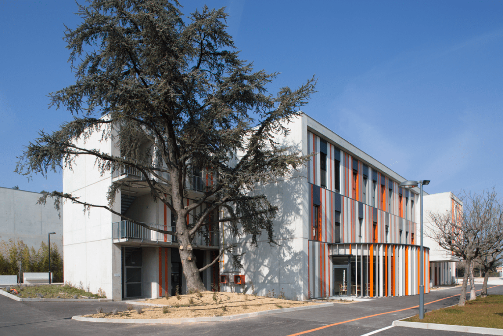 Alzado lateral. Nuevo edificio en el instituto Albert Einstein, por NBJ Architectes. Fotografía © Paul Kozlowski.