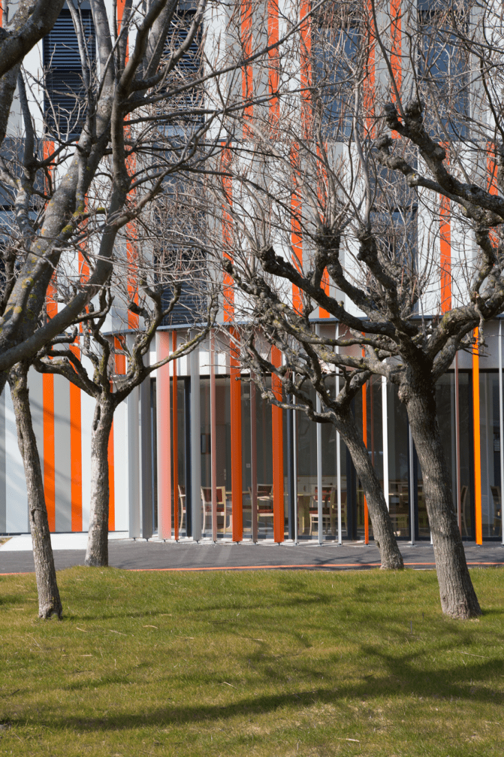 Vista exterior. Nuevo edificio en el instituto Albert Einstein, por NBJ Architectes. Fotografía © Paul Kozlowski.